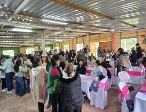 La Alcaldía Local realizó una Viejoteca del Adulto Mayor con música, baile, muestras artísticas y actividades recreativas.