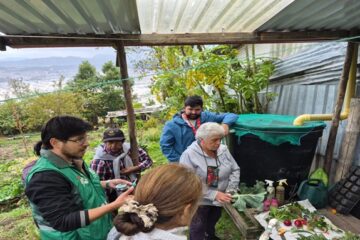 En Usaquén enseñan a darle una segunda vida a flores y plantas mediante técnicas de secado