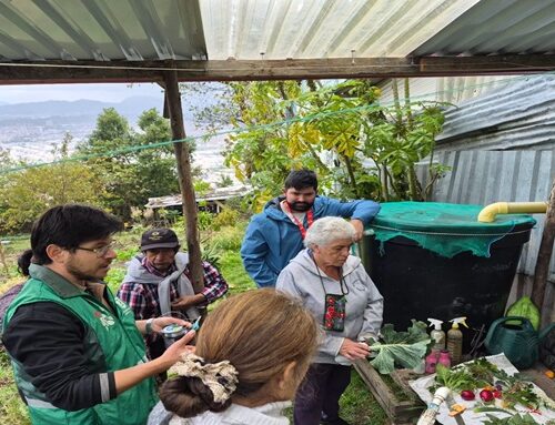 En Usaquén enseñan a darle una segunda vida a flores y plantas mediante técnicas de secado