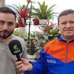 Merca Plantas La 19 se prepara para una Navidad llena de naturaleza