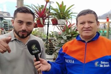 Merca Plantas La 19 se prepara para una Navidad llena de naturaleza