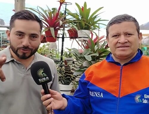 Merca Plantas La 19 se prepara para una Navidad llena de naturaleza