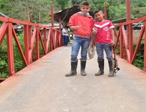 Alcaldía de Ibagué deberá construir puente entre Pico de Oro y El Secreto