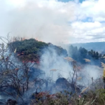 Continúa la emergencia por incendios forestales en Cundinamarca