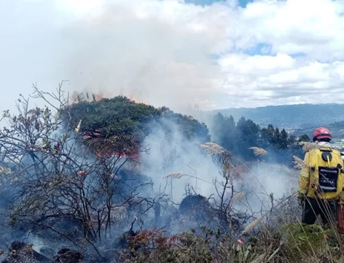 Continúa la emergencia por incendios forestales en Cundinamarca