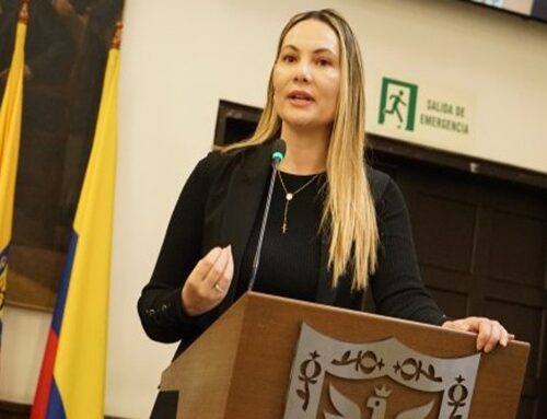 ¿Están preparados los colegios y jardines de Bogotá para un terremoto?: Concejal María Clara Name