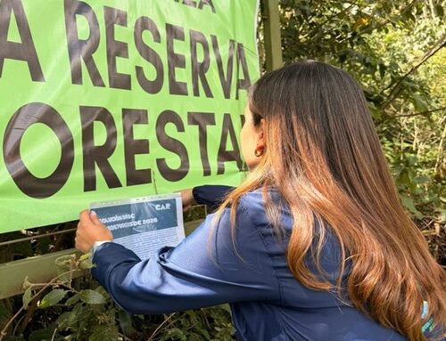 CAR frenó intervención ilegal en el Cerro Majuy, en zona protegida de la cuenca alta del río Bogotá