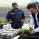 CAR Cundinamarca activa 26 viveros para enfrentar el cambio climático