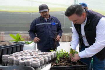 CAR Cundinamarca activa 26 viveros para enfrentar el cambio climático