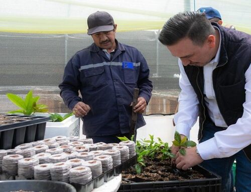CAR Cundinamarca activa 26 viveros para enfrentar el cambio climático