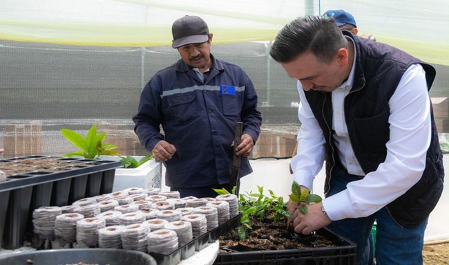 CAR Cundinamarca activa 26 viveros para enfrentar el cambio climático