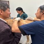 Denuncian presunto envenenamiento de mascotas en parque de Colina Campestre, en Usaquén
