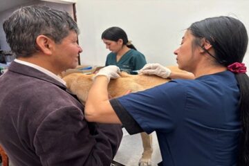 Denuncian presunto envenenamiento de mascotas en parque de Colina Campestre, en Usaquén