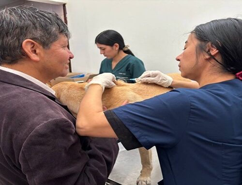 Denuncian presunto envenenamiento de mascotas en parque de Colina Campestre, en Usaquén