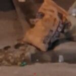 Denuncian aumento de roedores en el barrio La Trinitaria, en Suba, por acumulación de basuras y escombros