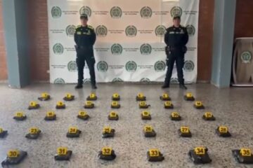 Golpe al tráfico de estupefacientes en Bogotá: Policía incauta más de 31 kilos de marihuana en bodegas de envío.