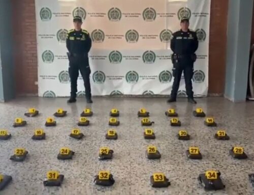 Golpe al tráfico de estupefacientes en Bogotá: Policía incauta más de 31 kilos de marihuana en bodegas de envío.