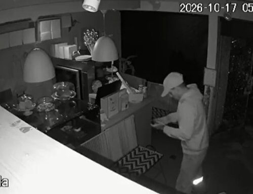 Robo millonario en un café de Pasadena, en Suba: delincuentes se llevaron máquina de café y otros elementos