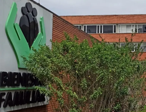 Directora del ICBF denuncia amenazas tras polémica por video en el Senado