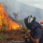 Huila suma 3.540 hectáreas afectadas por incendios