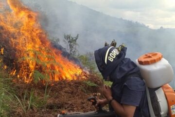 Huila suma 3.540 hectáreas afectadas por incendios
