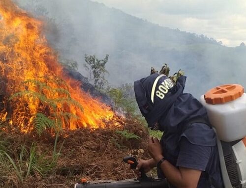 Huila suma 3.540 hectáreas afectadas por incendios