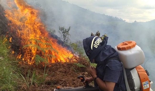 Huila suma 3.540 hectáreas afectadas por incendios