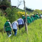 Medellín usa inteligencia artificial e imágenes satelitales para monitorear el territorio
