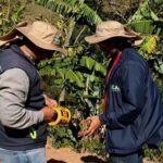 Vía clandestina arrasó casi 200 árboles y afectó acueductos en Cundinamarca