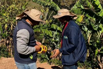 Vía clandestina arrasó casi 200 árboles y afectó acueductos en Cundinamarca