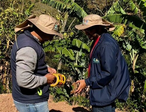 Vía clandestina arrasó casi 200 árboles y afectó acueductos en Cundinamarca
