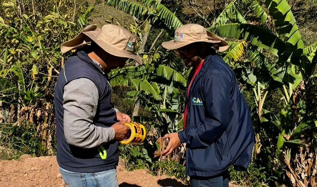 Vía clandestina arrasó casi 200 árboles y afectó acueductos en Cundinamarca