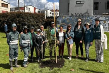 Cinco parques de Suba se renaturalizaron con el Jardín Botánico de Bogotá