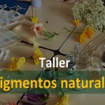 Usaquén invita a participar en taller de pigmentos naturales este viernes 16 de octubre