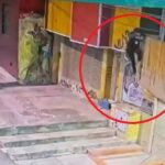 Cámaras de vigilancia permitieron capturar a presunto ladrón escondido en un clóset en La Candelaria
