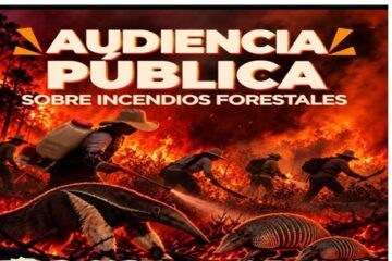Tolima alza la voz ante los incendios forestales: convocan audiencia pública para exigir soluciones