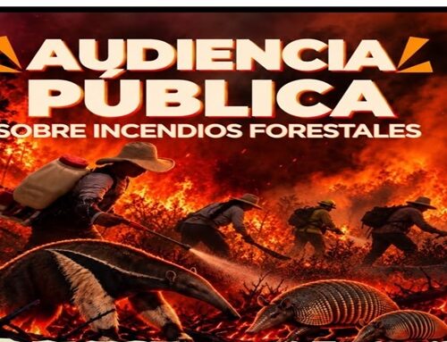 Tolima alza la voz ante los incendios forestales: convocan audiencia pública para exigir soluciones