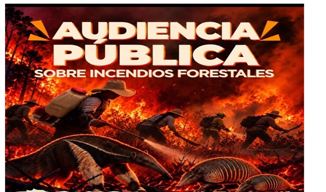 Tolima alza la voz ante los incendios forestales: convocan audiencia pública para exigir soluciones