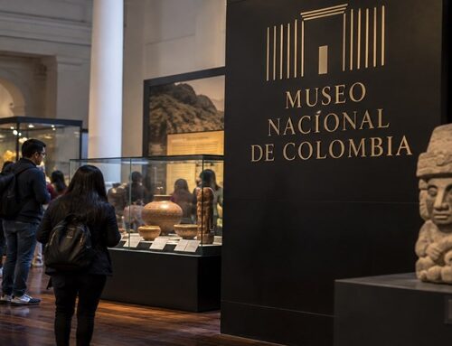 Revés judicial al Gobierno: ordenan al Museo Nacional restituir piezas retiradas en 48 horas