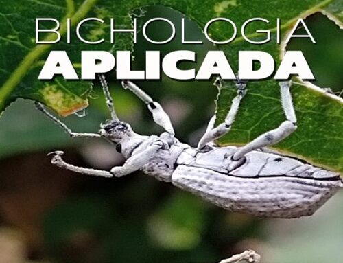 Festival Artrópodos une ciencia y arte en Suba