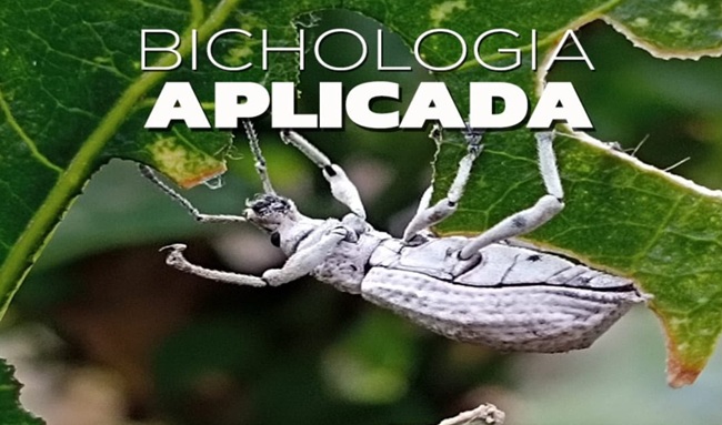 Festival Artrópodos une ciencia y arte en Suba
