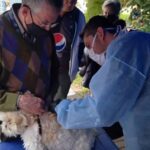 Bogotá tendrá jornada gratuita de vacunación contra la rabia para perros y gatos este domingo