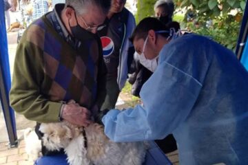 Bogotá tendrá jornada gratuita de vacunación contra la rabia para perros y gatos este domingo