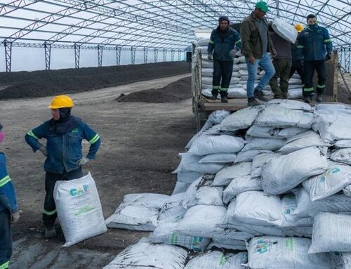 CAR Cundinamarca culmina proyecto que transformó buchón de laguna de Fúquene en 4 mil toneladas de bioabono