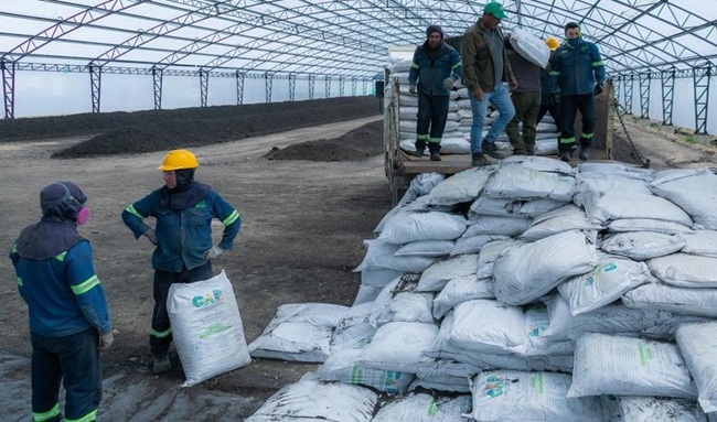 CAR Cundinamarca culmina proyecto que transformó buchón de laguna de Fúquene en 4 mil toneladas de bioabono